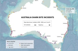 More than 1,280 shark incidents have been recorded around Australia since 1791 -- about 260 of them fatal
