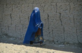 Since the Taliban regained power in 2021, Afghan women have been barred from doing most jobs, visiting parks and beauty salons, and attending school beyond the age of 12