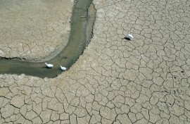 The planet is on track to log its second hottest year on record in 2025, tied with 2023
