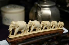 Japan denies that its national ivory market impacts elephant conservation and says it continues to 'implement strict control measures'