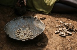 A woman sorts the fruit of the kudra plant to prepare a meal at a camp for displaced people in Kadugli