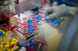 A long rehabilitation process follows the complex graft procedure