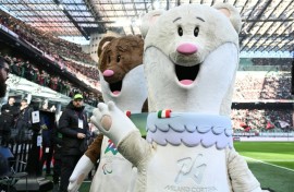 The ermine and stoat mascots of the 2026 Olympic Games are everywhere, but their real-life counterparts risk dwindling in the wild.
