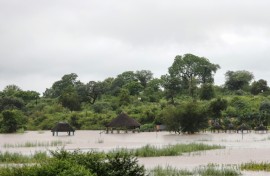 Dozens of people lost their lives and hundreds of thousands were displaced in northeastern South Africa and neighbouring Mozambique in flooding caused by weeks of intense storms and rains