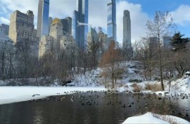 Snow blanketed New York after the historic winter storm