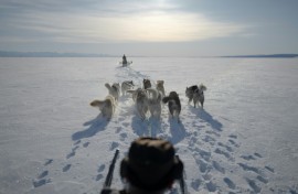 Dogsled teams are low-tech and durable, members of the Sirius patrol argue, making them the best tool for patrolling Greenland's vastness