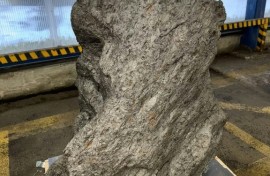 Prosecutors have opened a criminal investigation into smuggling