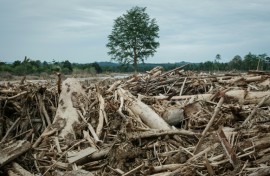 Flooding and landslides made worse by deforestation killed over 1,000 people in Sumatra last year