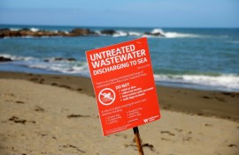 Millions of litres of raw sewage have flown into the waters off Wellington's picturesque south coast beaches since the breakdown of the Moa Point facility on February 4