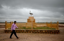A statue to the Great Indian Bustard in India's desert state of Rajasthan