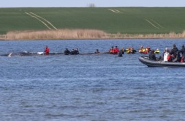 Two entrepreneurs are financing the latest bid to rescue a whale stranded off the German coast