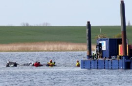 The humpback whale was guided to a special barge