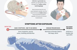 Hantavirus