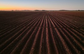 Zimbabwe launched land reforms in 2000, seizing land from white commercial farmers