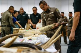 The ivory haul included cut pieces and fragments, as well as prayer beads, jewellery and knife handles, police say