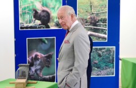 King Charles III is patron of The Red Squirrel Survival Trust