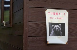A record 13 people were killed by bears in Japan last year, and there has been a jump in sightings as the animals emerge hungry from hibernation