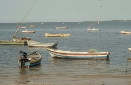 Mozambique has increased fuel prices, meaning that some fishermen cannot afford the fuel to go fishing