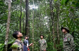 In the last five years, the Central Cardamom protected region has lost nearly 7,000 hectares of tree cover, Global Forest Watch data shows.