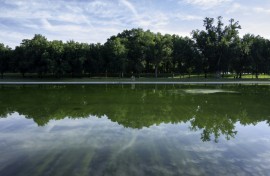 Algae is visible in the Lincoln Memorial Reflecting Pool as cleanup efforts continue where newly applied blue paint has peeled from the bottom, in Washington, DC, on June 20, 2026