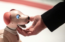 Aibo dogs can perform tricks like waving and mimicking its owner