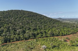 The Kenya-US deal involves rare earth minerals critical to high-tech and low-carbon industries in the coastal forest of Mrima Hill