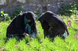In northeastern Afghanistan women farmers are playing a vital role in the survival of their communities