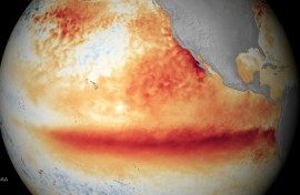 El Ninos are linked with warming sea surfaces in the eastern tropical Pacific, with global knock on effects, including wetter winters in East Africa