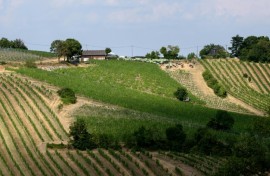 Vienna's "heuriger" wine taverns gained UNESCO listing in 2019