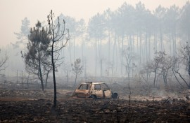 Residents living on the edge of the forest were told to evacuate in haste
