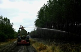 Volunteer farmers have been helping out