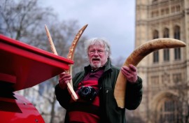British TV personality and conservationist Bill Oddie holds an ivory tusk and carvings next to a crusher in central London in February 2014, during an event involving the public destruction of ivory