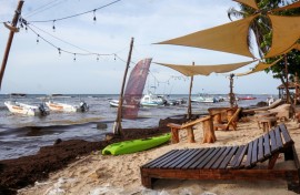 Sargassum covers the beach in Playa del Carmen on June 18, 2025