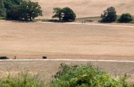 People walk on a dirt track between dry fields, turned brown from the heat of the sun near Guildford, southwest of London