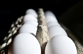 Cracked it: Egg prices became a rallying point for Donald Trump in 2024's presidential election campaign