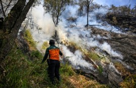 A wildfire has razed 176 hectares in Indonesia's Bromo Tengger Semeru National Park, which lies near Mount Bromo in East Java