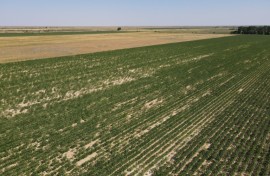 Kazakhstan has been grappling with severe droughts and water shortages