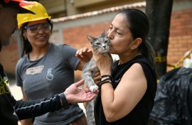 Hundreds of people remain missing in Colombia's quake zone, but some pets have been rescued from the rubble