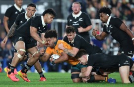 Australia are on a 12-match losing streak against the All Blacks