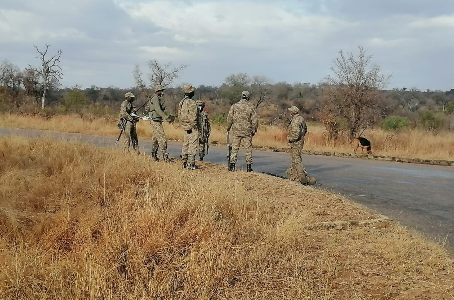eNCA's Slindelo Masikane in Mpumalanga with cameraman Tebogo Masilo to explore what it's like to travel during a pandemic. First stop, the Kruger National Park.