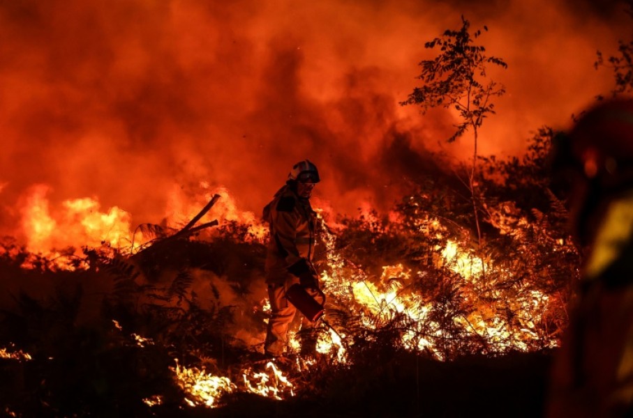Fires in France have led to the highest levels of carbon pollution since records began