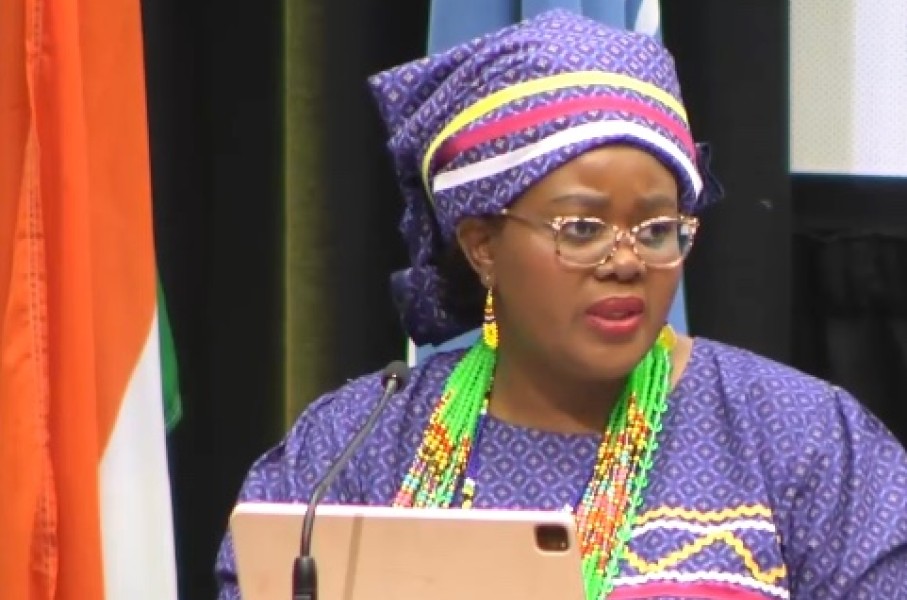 Human Settlements Minister Mamoloko Kubayi was speaking at UN Habitat's GAP launch in Soweto. (eNCA\Screenshot)