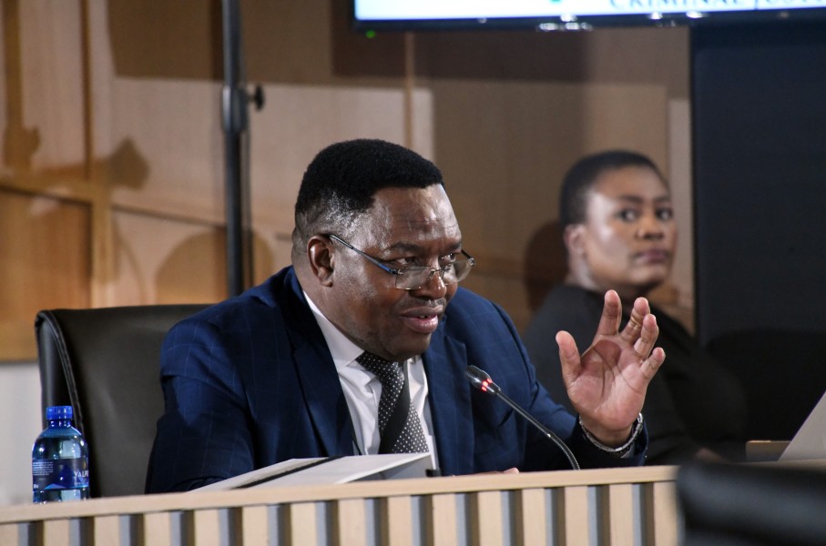 National Commissioner of the SAPS General Fannie Masemola at the Madlanga Commission Of Inquiry. Gallo Images/Frennie Shivambu