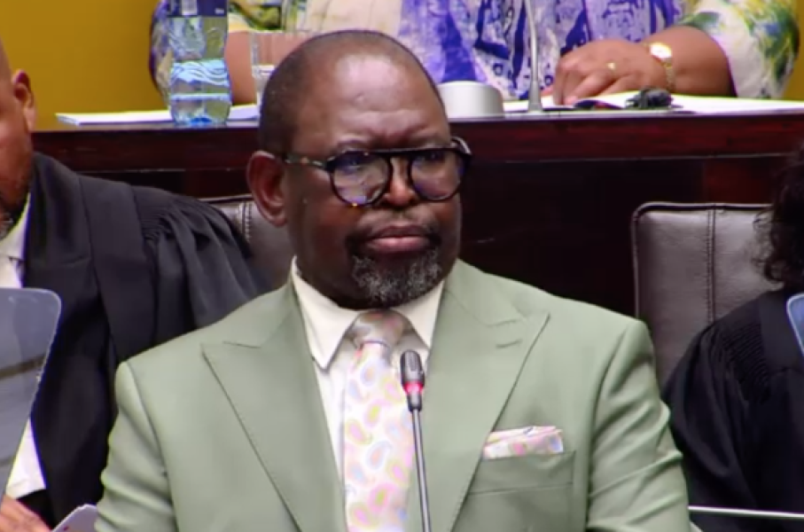 Finance Minister Enoch Godongwana 