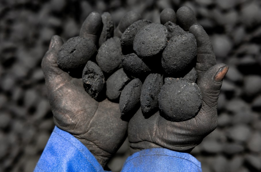 A worker holds coal pebbles in his hands. AFP/Joris Bolomey
