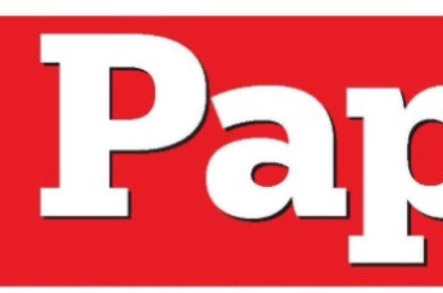 Logo of Die Papier