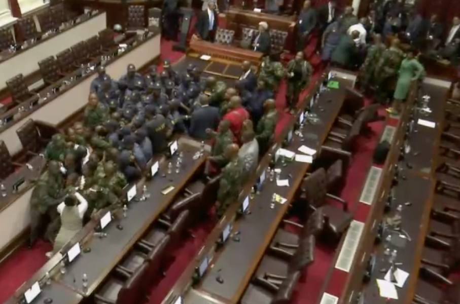 MPs scuffle with SAPS in legislature