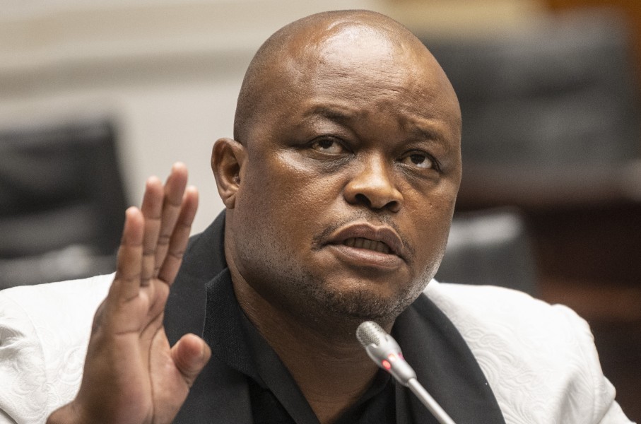 Brown Mogotsi. Brenton Geach/Gallo Images