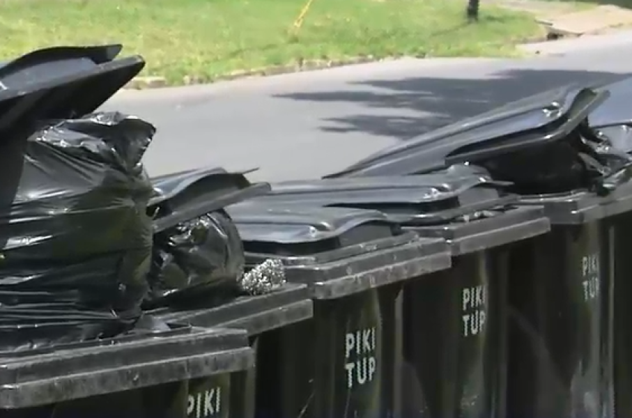 Pikitup.png