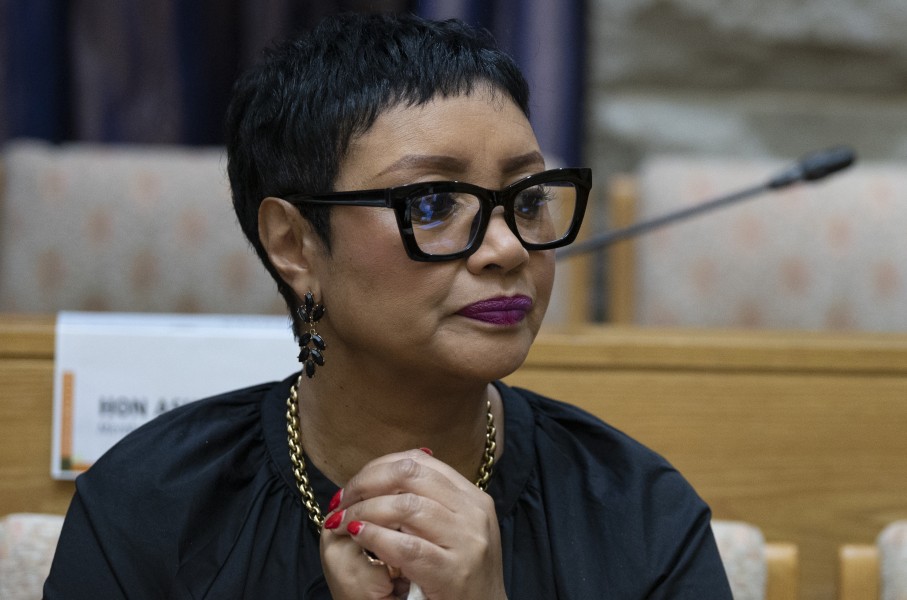 ActionSA's Dereleen James. Brenton Geach/Gallo Images